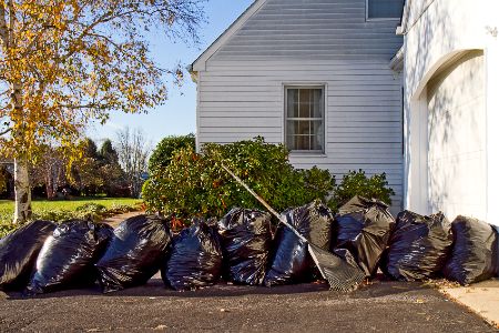 Why Seasonal Lawn Cleanups Matter