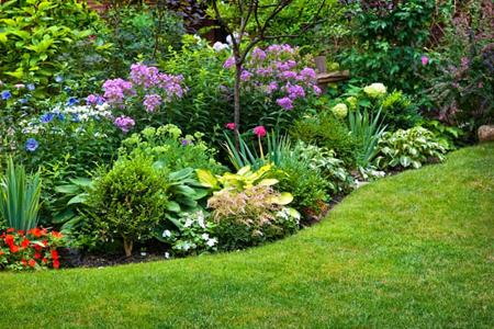 Garden Bed Cleanup